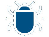 First software bug